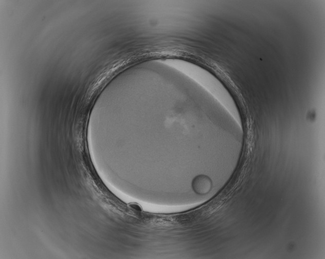 X0000116030386200912111421