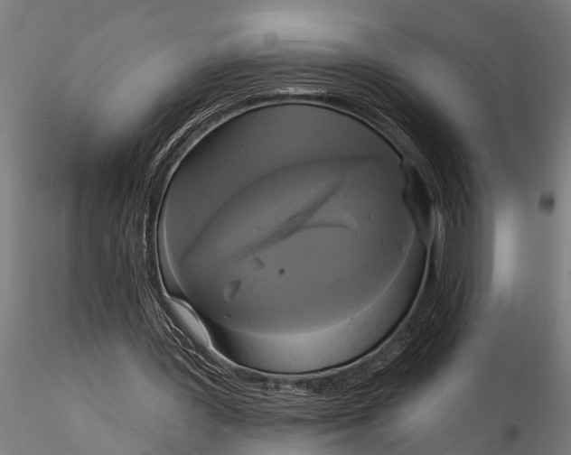 X0000116030387200912111421