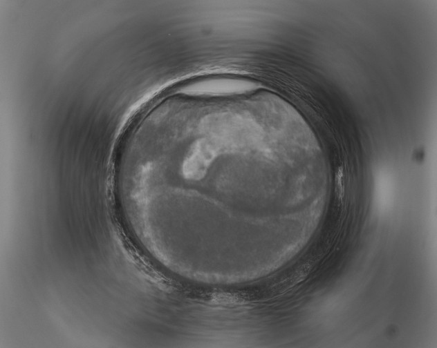 X0000116030388200912111421