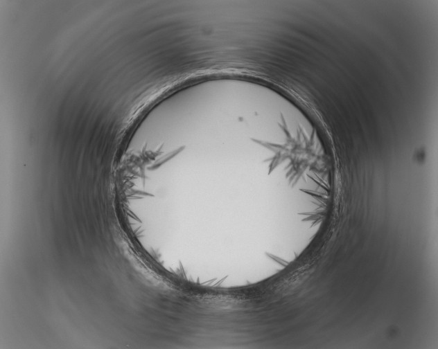 X0000116030389200912111421