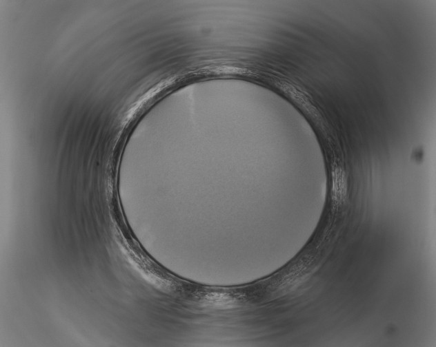 X0000116030390200912111421