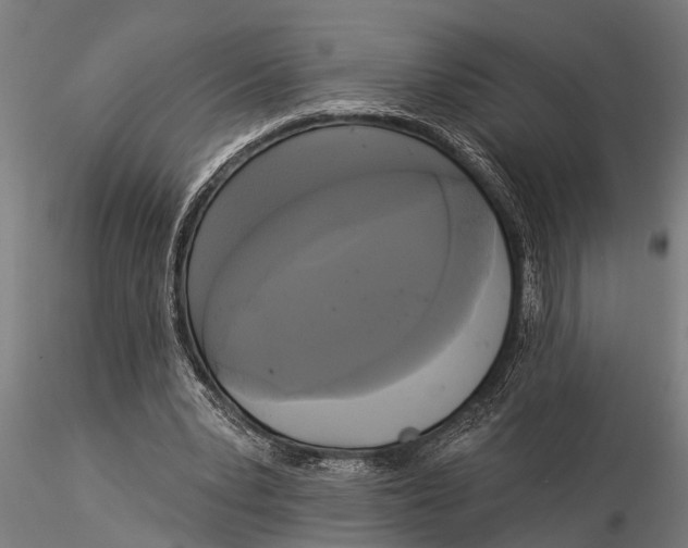 X0000116030391200912111421