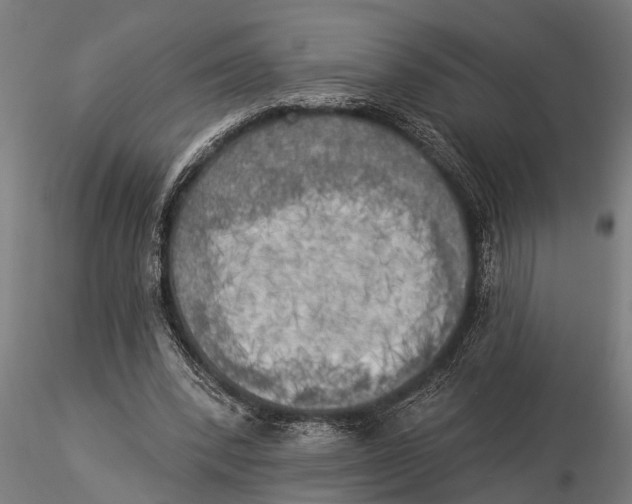 X0000116030392200912111421