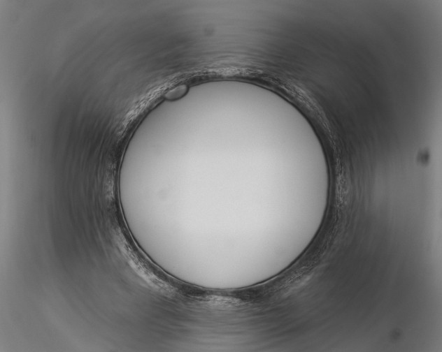 X0000116030393200912111421