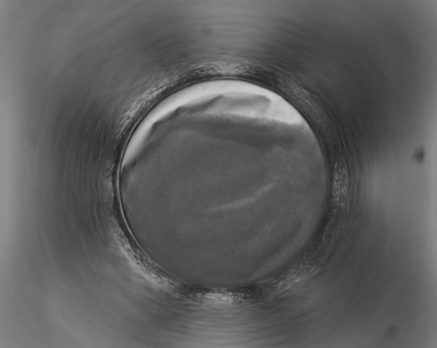 X0000116030394200912111421