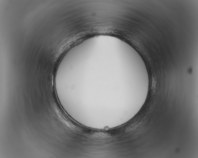 X0000116030397200912111421