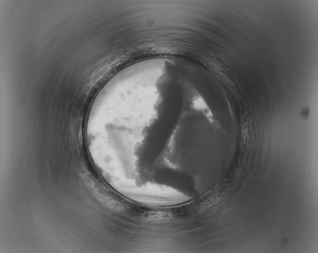 X0000116030398200912111421