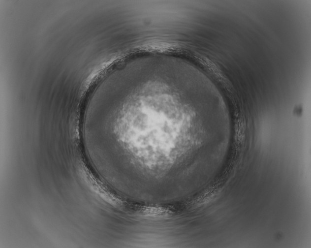 X0000116030399200912111421