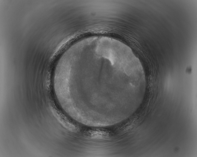 X0000116030400200912111421