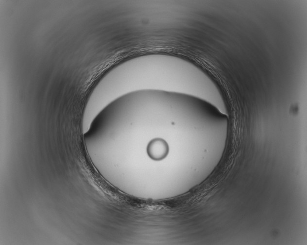 X0000116030401200912111421