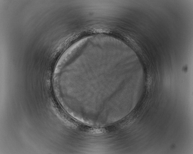 X0000116030402200912111420