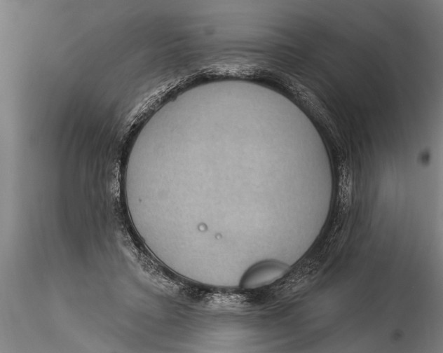 X0000116030403200912111420