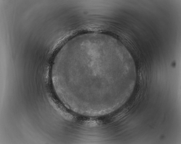 X0000116030404200912111420