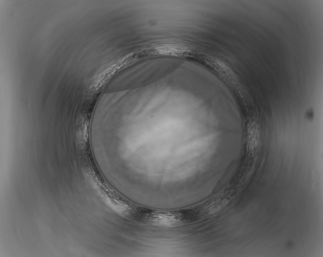 X0000116030405200912111420