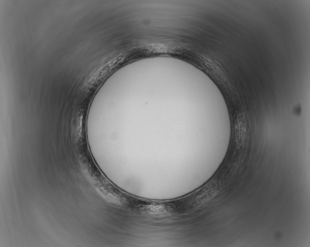 X0000116030406200912111420