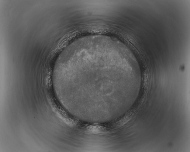 X0000116030408200912111420