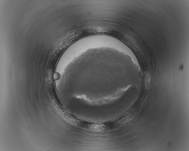 X0000116030410200912111420