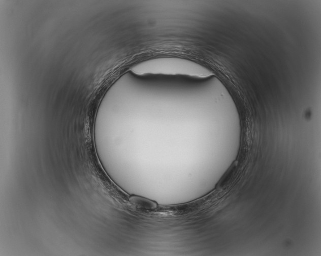 X0000116030411200912111420