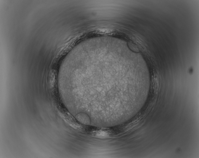 X0000116030412200912111420