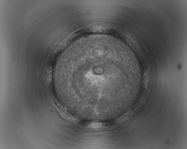 X0000116030413200912111420