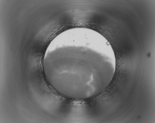 X0000116030415200912111420