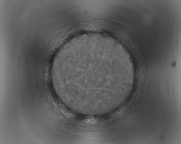 X0000116030416200912111420