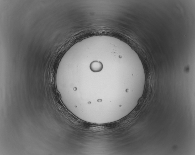 X0000116030417200912111420