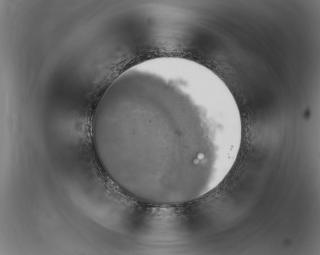 X0000116030419200912111420