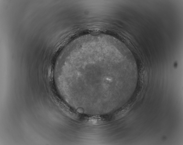 X0000116030420200912111420