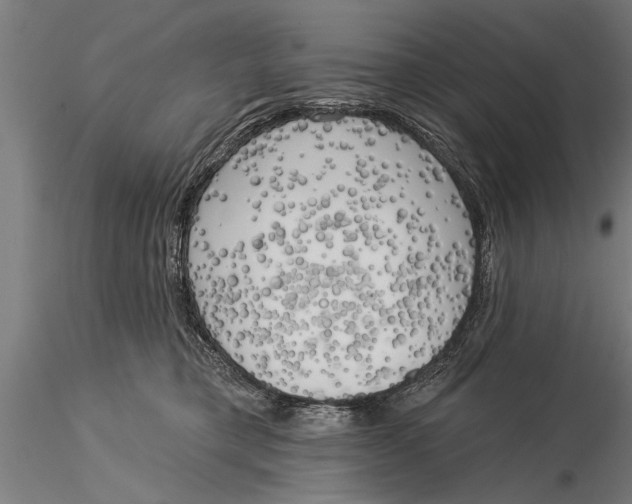 X0000116030421200912111420