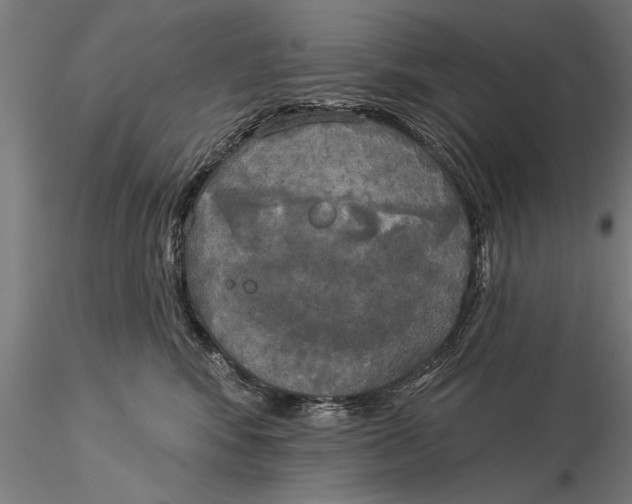 X0000116030424200912111420