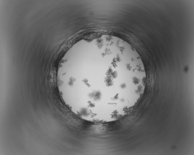 X0000116030425200912111420