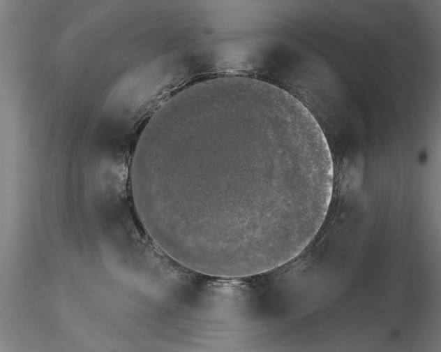 X0000116030427200912111420