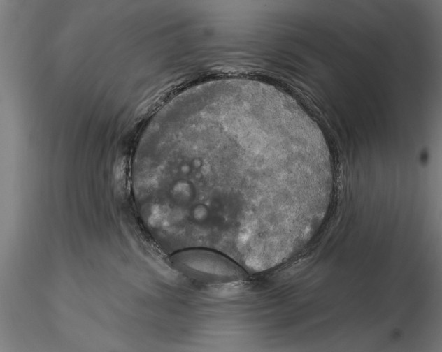 X0000116030428200912111420