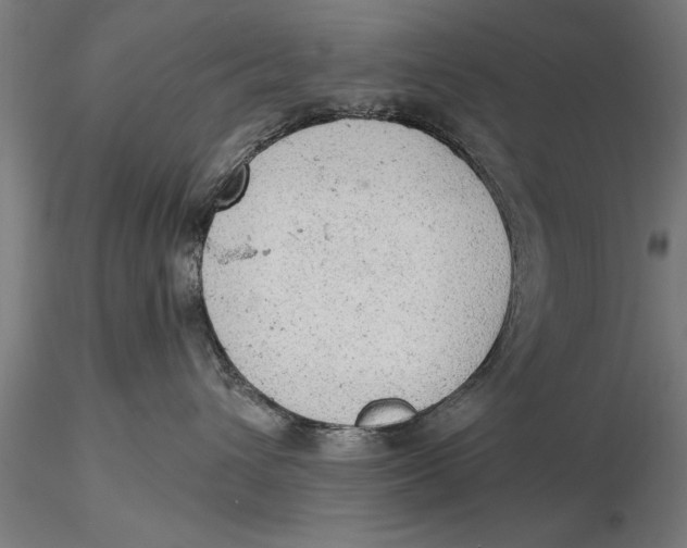 X0000116030432200912111420