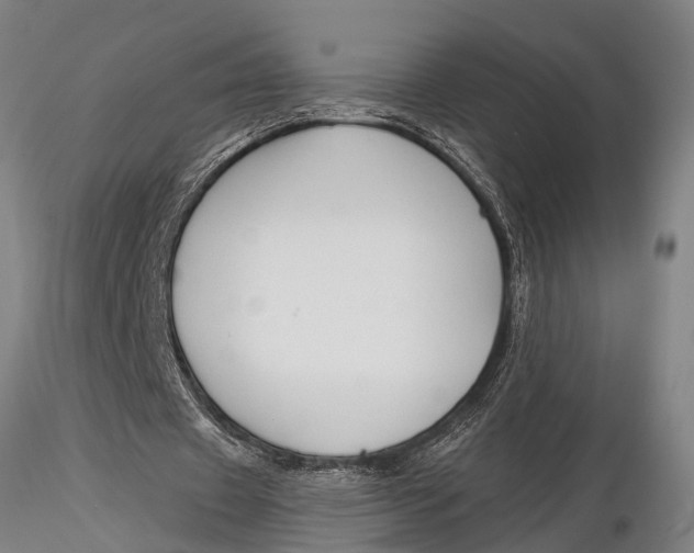 X0000116030433200912111419