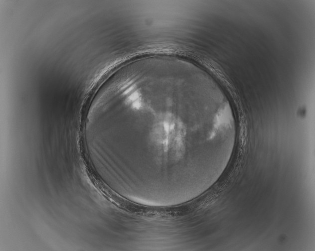 X0000116030434200912111419