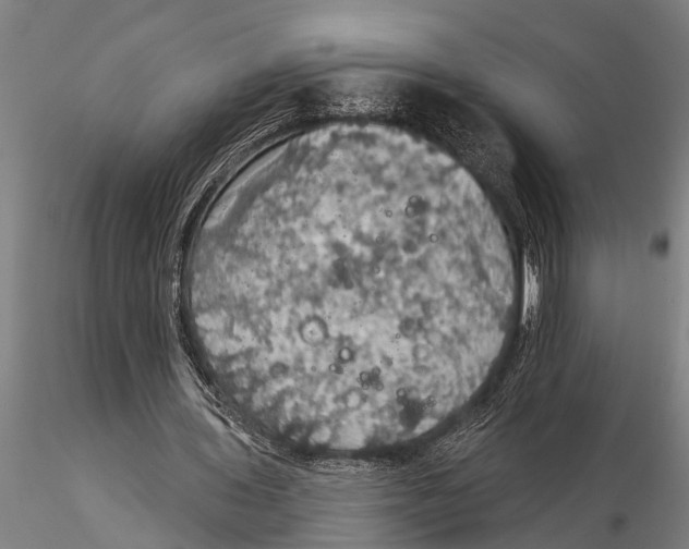 X0000116030435200912111419