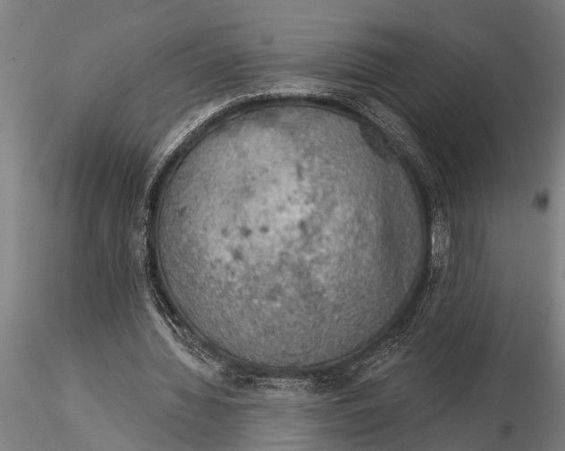 X0000116030436200912111419