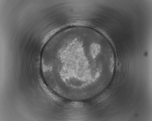 X0000116030437200912111419