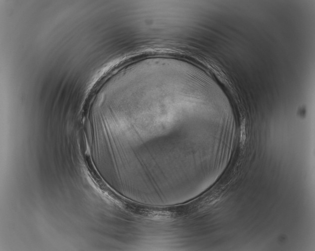 X0000116030438200912111419