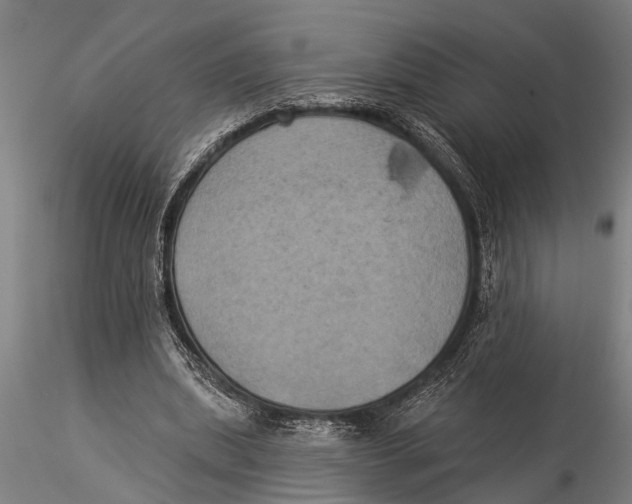 X0000116030439200912111419