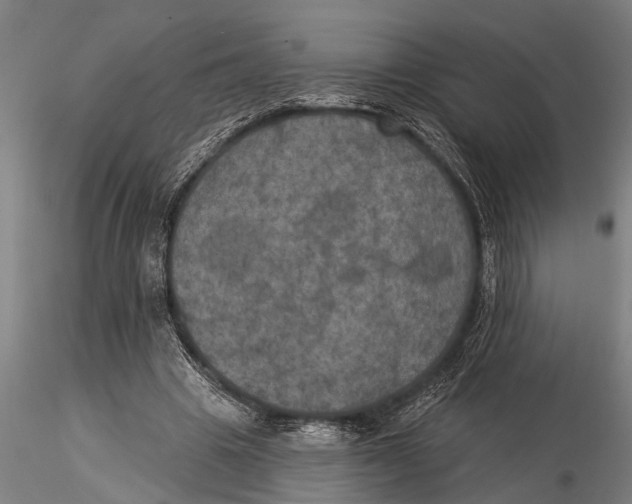 X0000116030441200912111420