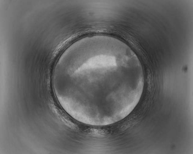 X0000116030442200912111420