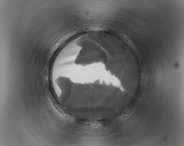 X0000116030443200912111420