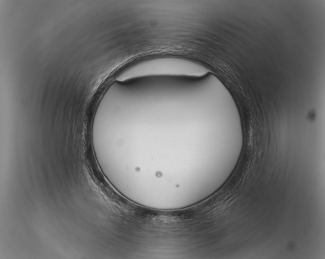 X0000116030444200912111420