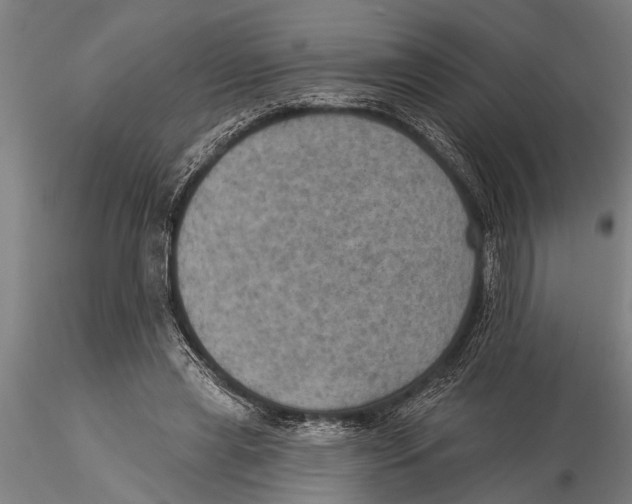 X0000116030445200912111420