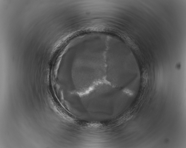 X0000116030446200912111420