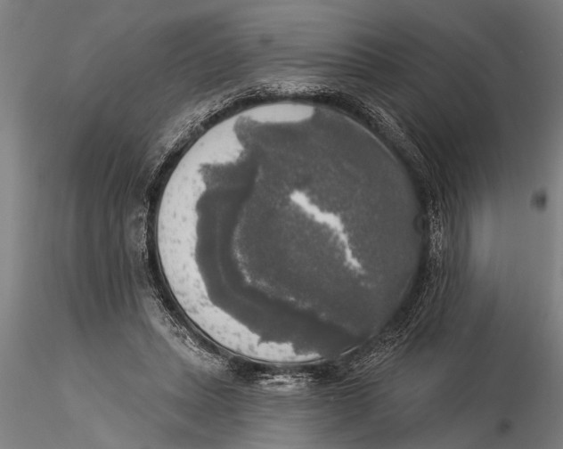 X0000116030447200912111420