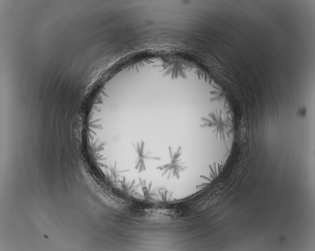 X0000116030448200912111420